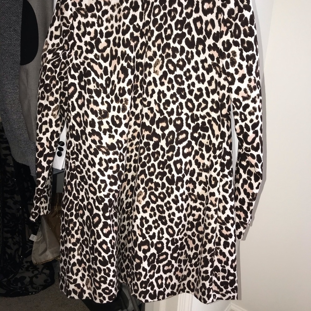 Coat - Picture 3 of 5